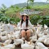 Feeding ducks at Phong Nha Duck Stop Vietnam
