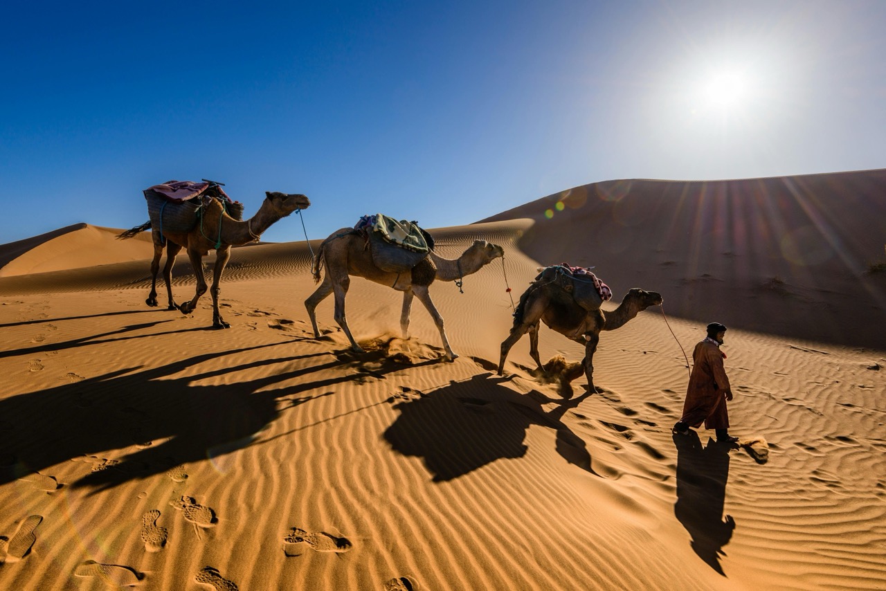 Wonders of Morocco 20-27 September 2026