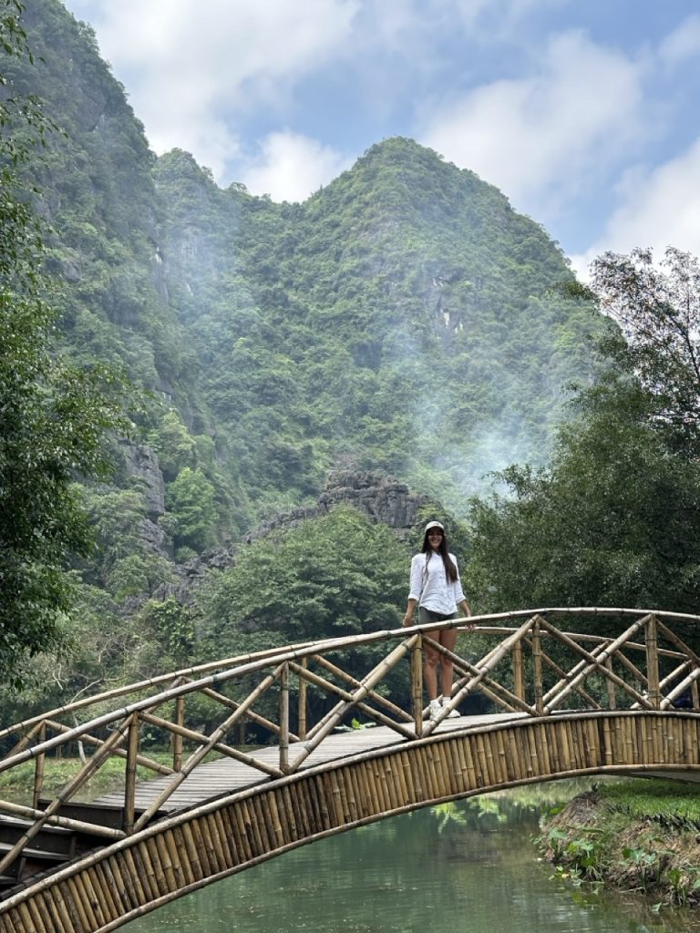 Aerial view of rice paddies and limestone cliffs in Ninh Binh, Vietnam