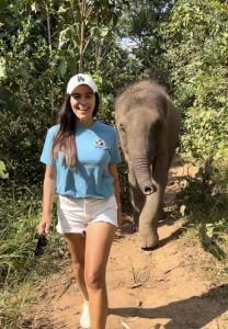 Ethical elephant sanctuary in Thailand where rescued elephants roam freely and visitors observe and interact responsibly