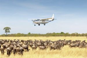 Fly-in safari in the Serengeti, Tanzania — luxury lodge in Central Serengeti with lions, elephants, wildebeest, and zebra on the plains during the great migration, perfect for wildlife photography and once-in-a-lifetime safari adventure.