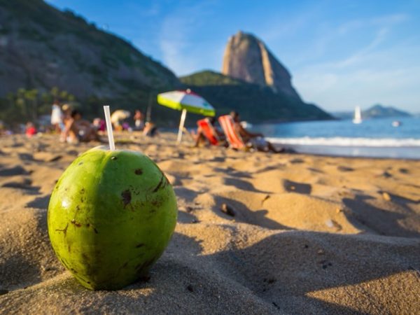 Tropical beach in Brazil with palm trees, coconut water stand, and clear blue ocean as part of a Brazil group travel itinerary experience.