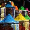 Vibrant colors at a private, high-end Holi festival event during an India group expedition.