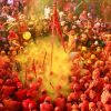 A colorful Holi celebration atmosphere curated for a premium India small-group adventure.