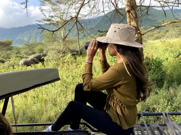 Bring Africa's giants into focus. Witness the incredible wildlife density of the Ngorongoro Crater with Gagago.