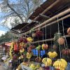 Fresh tropical fruits displayed at a colorful local market stand in Zanzibar.