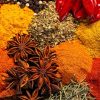 Fresh cloves, cinnamon, and aromatic spices displayed during a guided Gagago spice farm tour in Zanzibar.