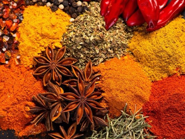Fresh cloves, cinnamon, and aromatic spices displayed during a guided Gagago spice farm tour in Zanzibar.