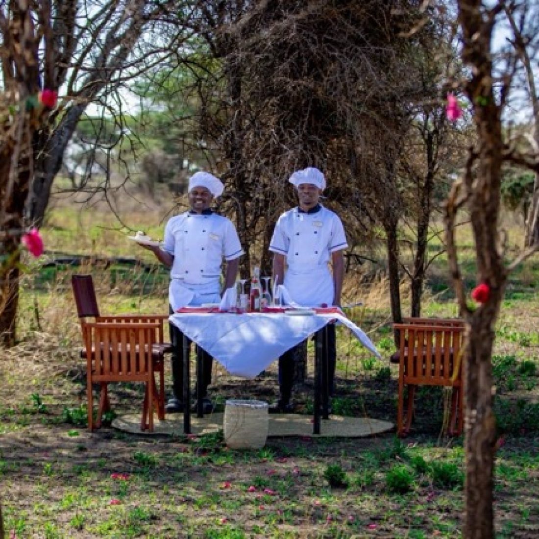 Luxury tented camp in the Northern Serengeti during the Great Migration, Tanzania safari lodge surrounded by wildlife, premium fly-in safari experience in Africa