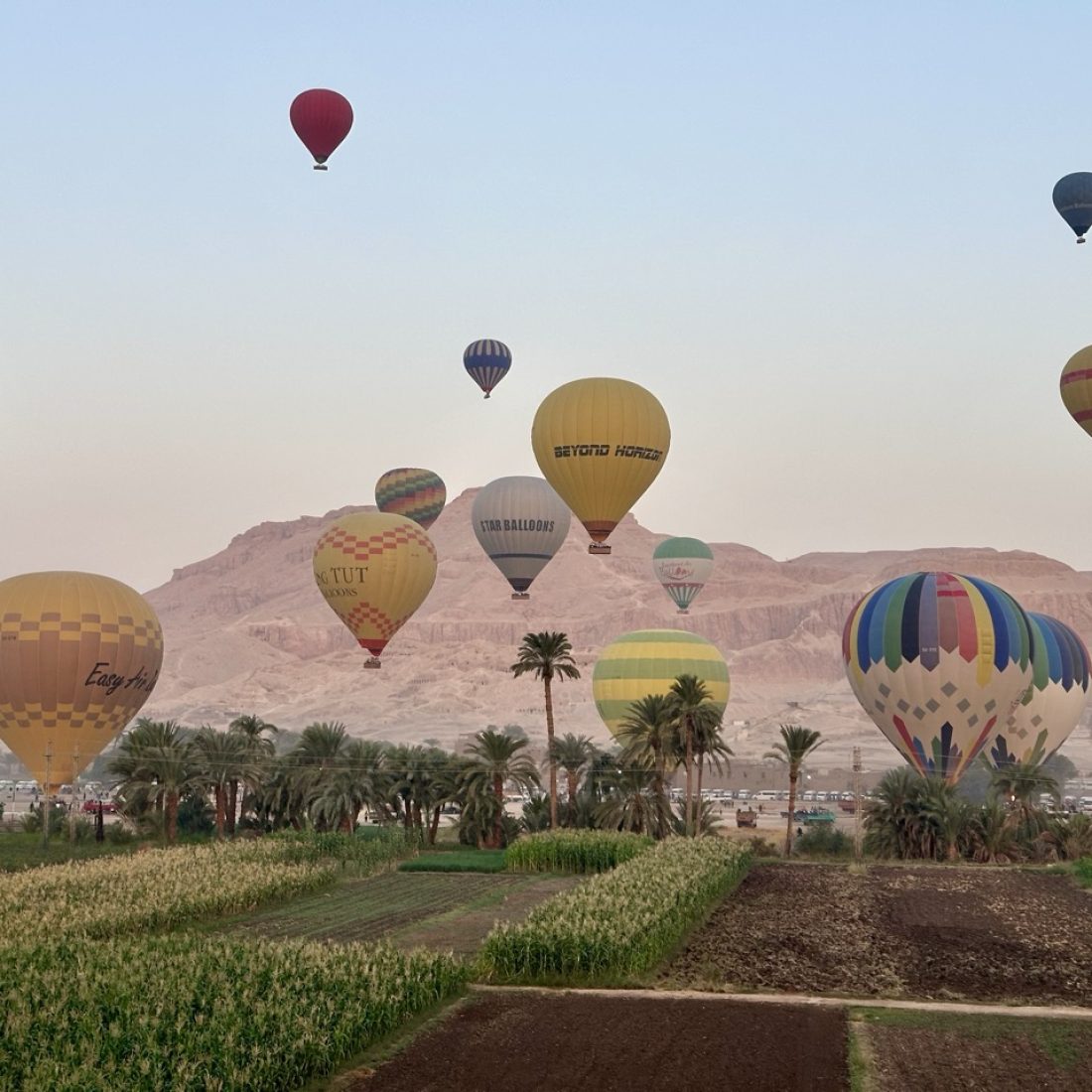 Hot-air balloon ride over Luxor at sunrise, Egypt