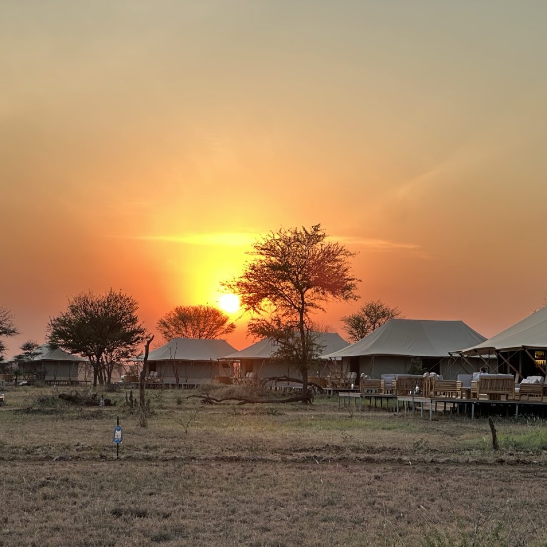 Luxury canvas safari tent with a private deck at sunset in the Serengeti, Tanzania.