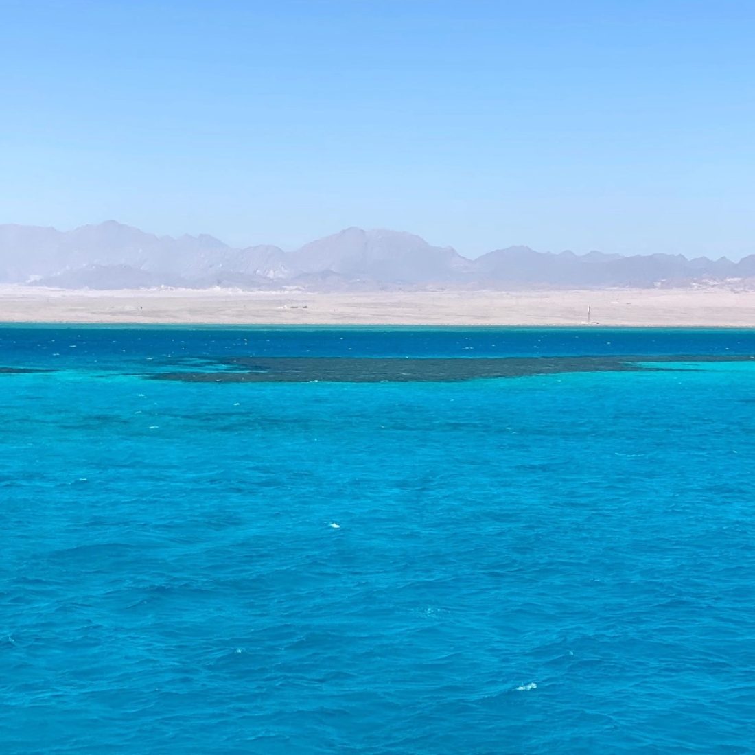 Snorkeling and diving in the Red Sea, Egypt, with colorful coral reefs and marine life