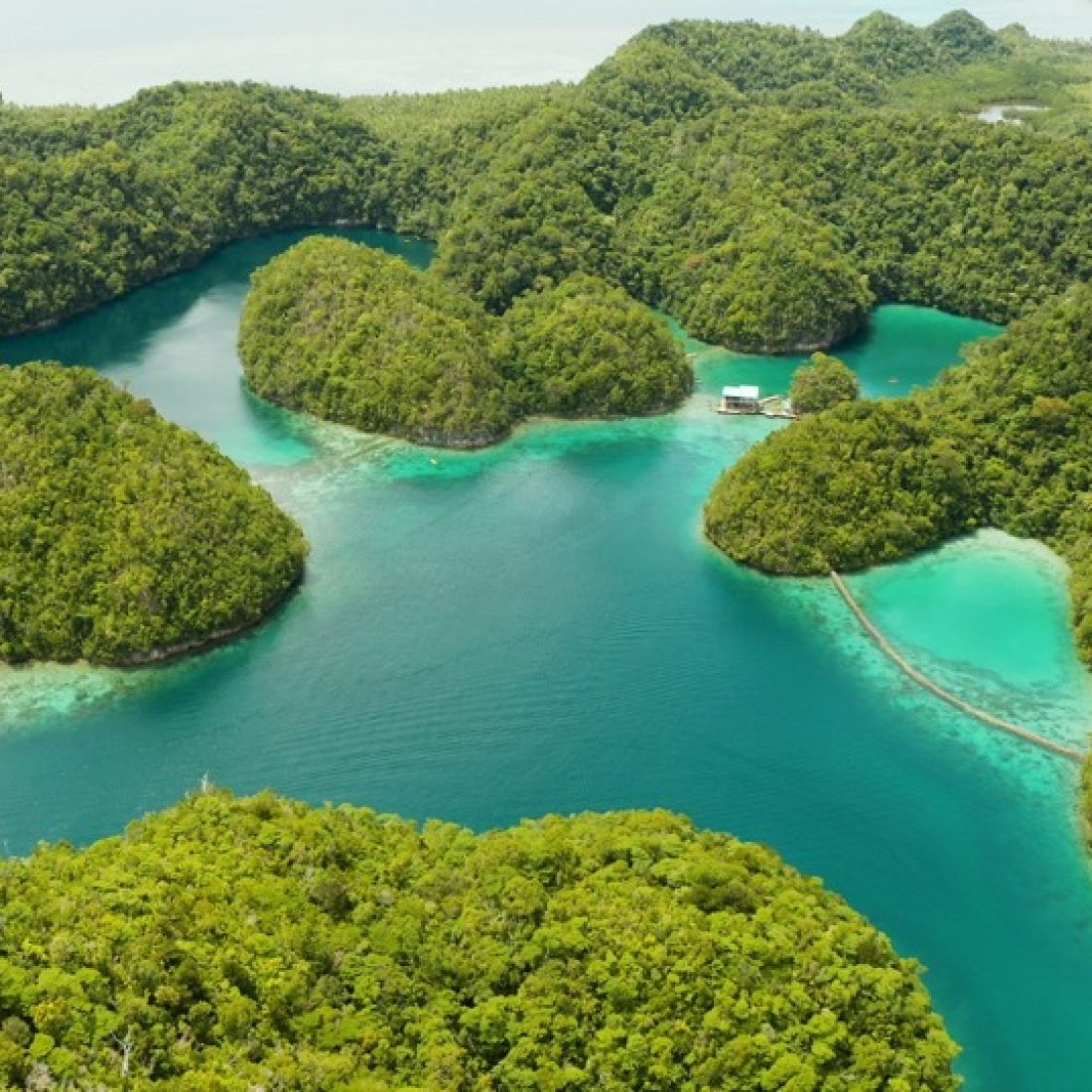 Kayaking on Sugba Lagoon in Siargao, Philippines surrounded by turquoise water and limestone cliffs.